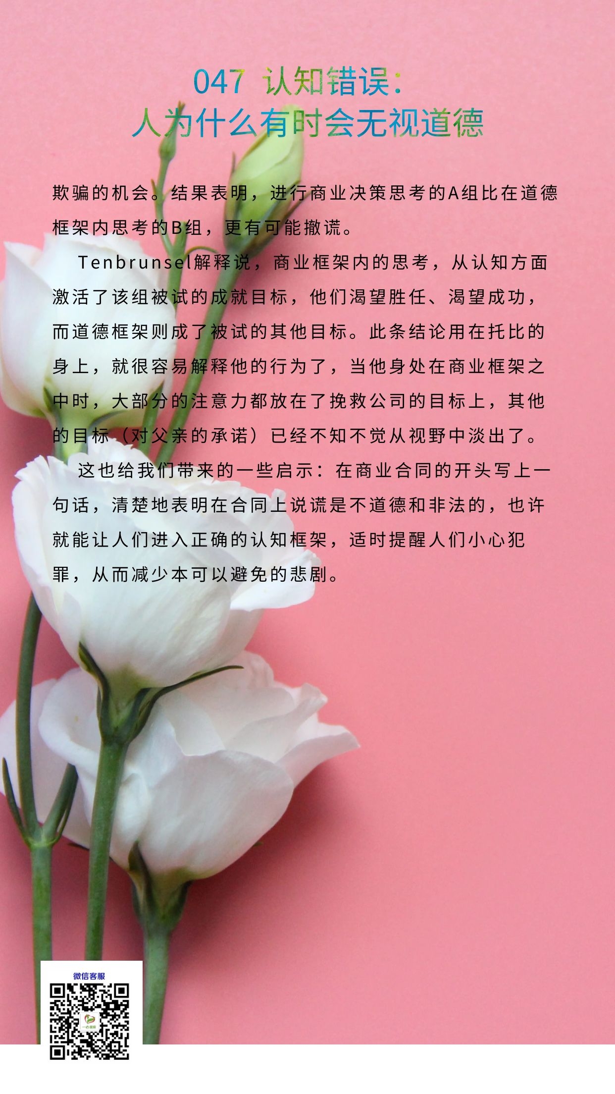 047B.jpg
