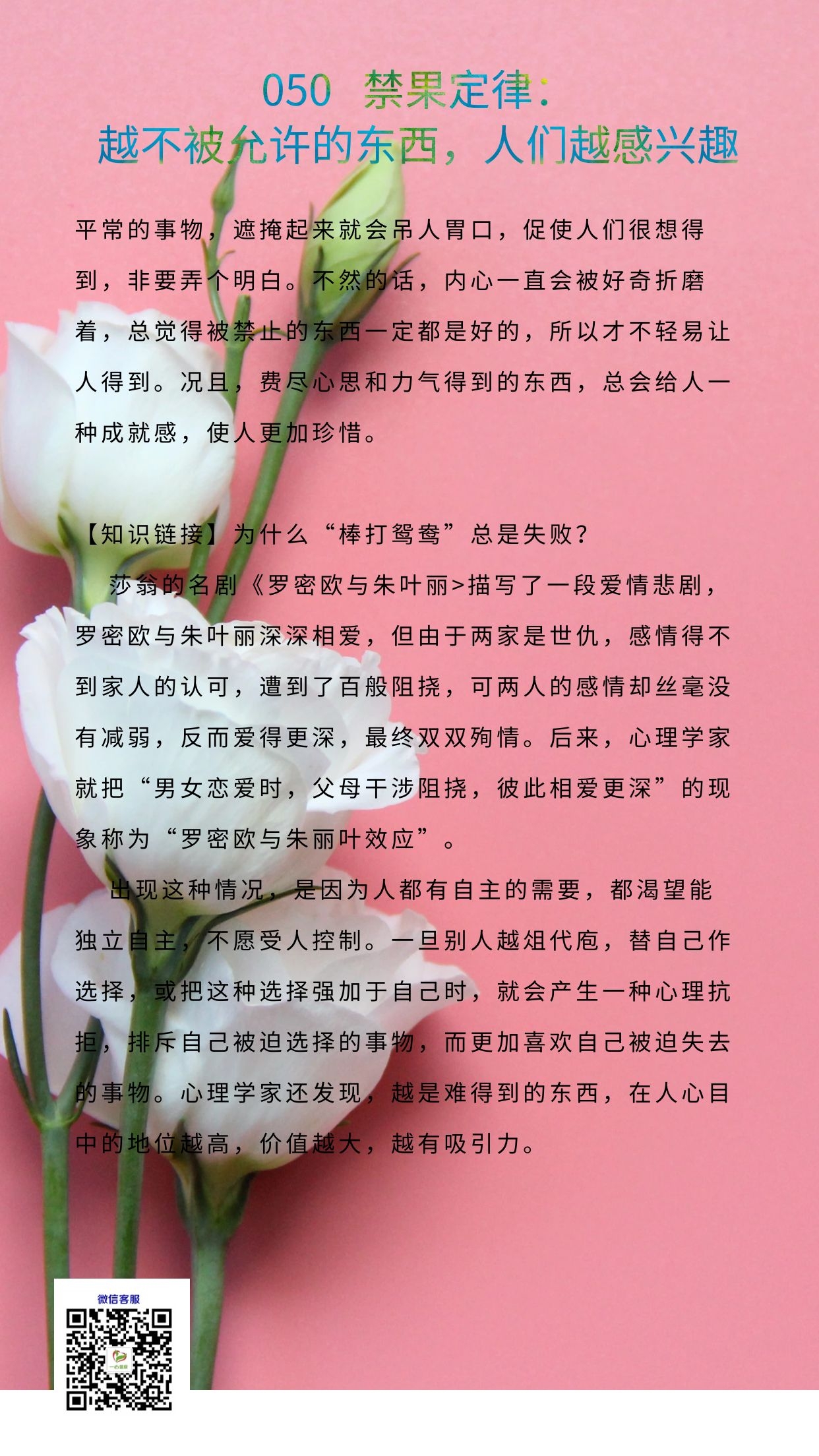 050B.jpg