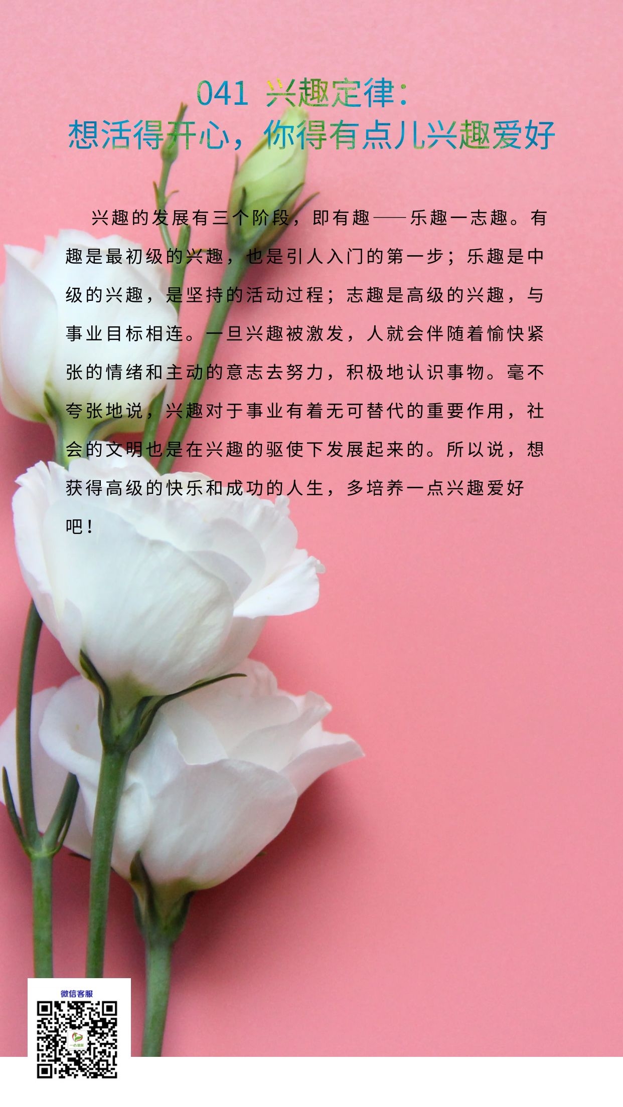 041B.jpg