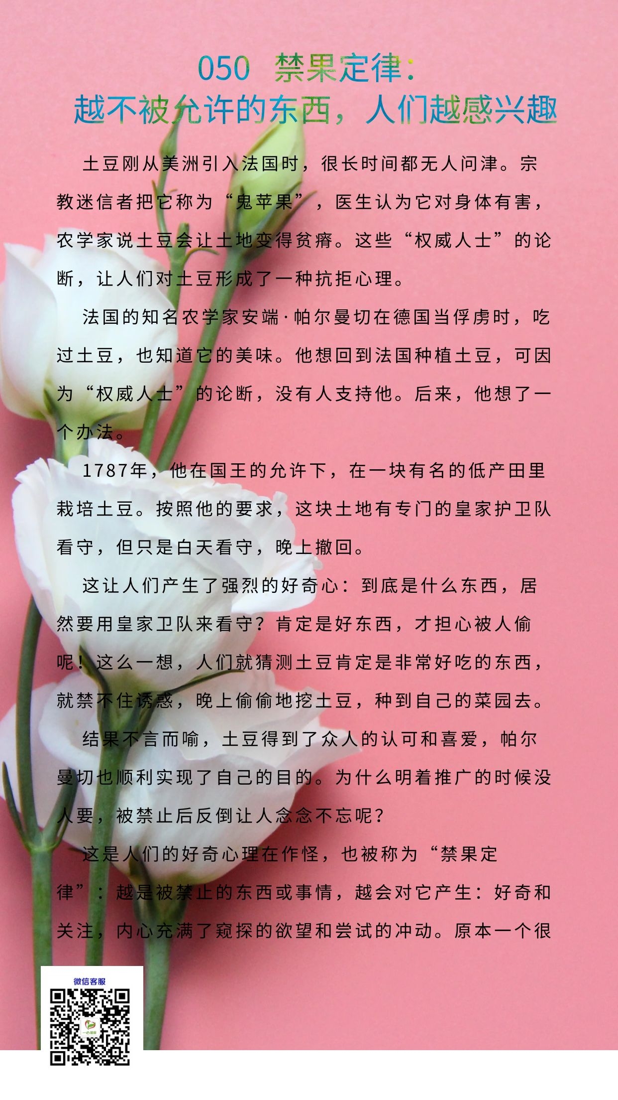 050A.jpg